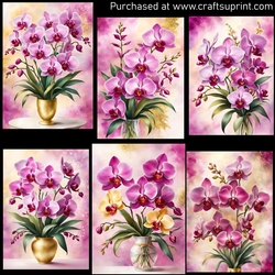 Orchids 5x7 3
