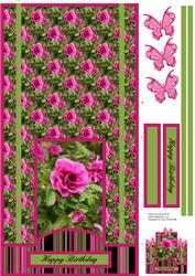 Camelia
