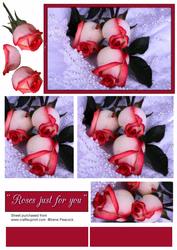 Roses Just for You