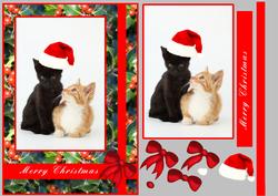 Lucky Black Cat