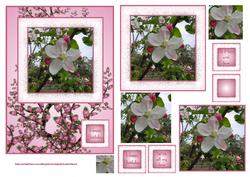 Blossom