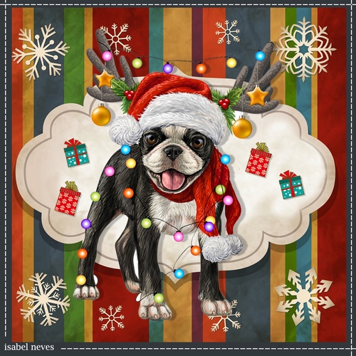 Dog Christmas 