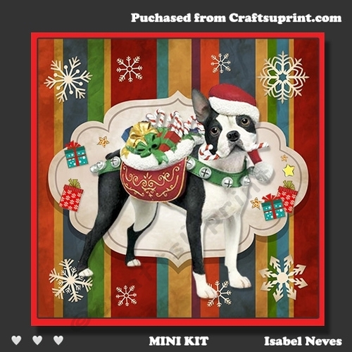 Cute Christmas Dog