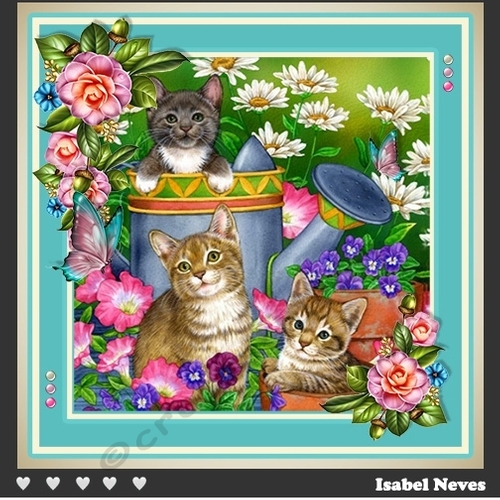 Pretty Garden Kittens ~ Birthday / Mothers Day and More