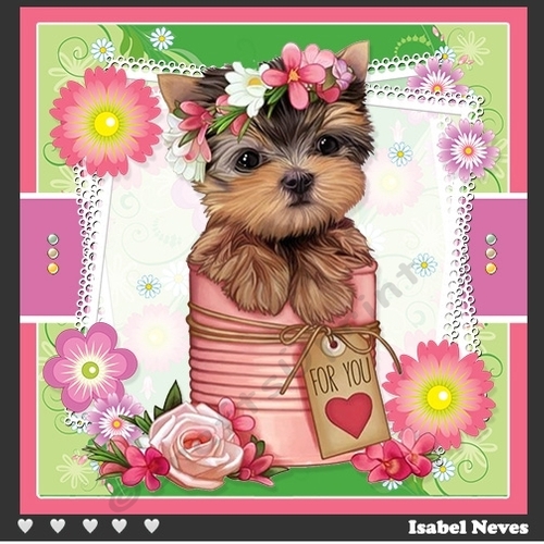 Precious Spring Puppy ~ Birthday | Mothers Day and More...