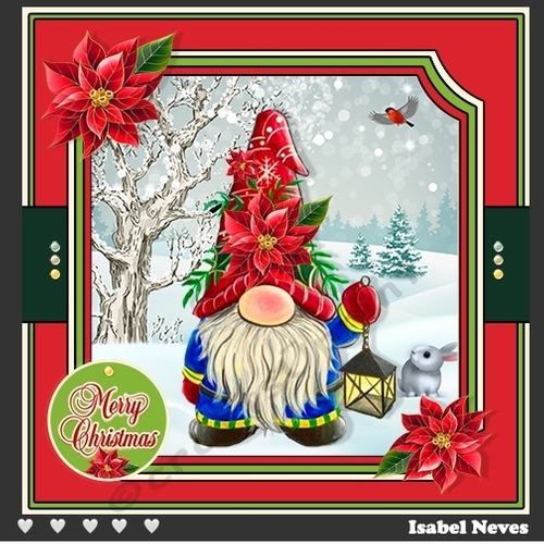 Christmas Gnome