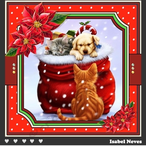 The Magic Of Christmas 2