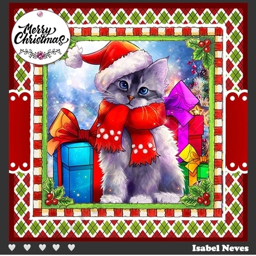 Merry Christmas Cat