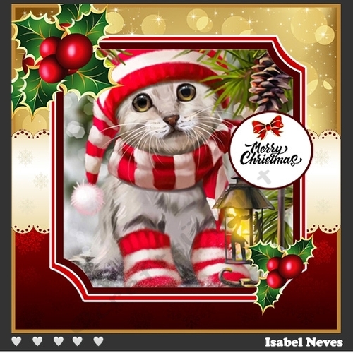 Christmas Cat In Christmas Hat