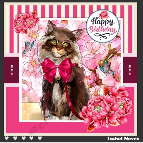 Pretty Kitty Birthday Wishes