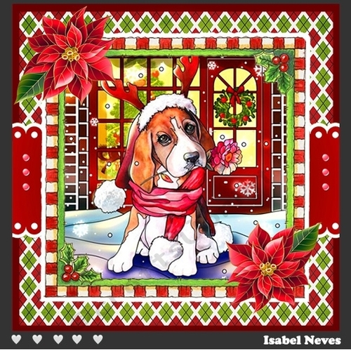 Ready For Christmas Dog