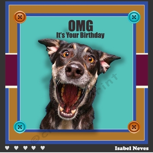 OMG Its Your Birthday
