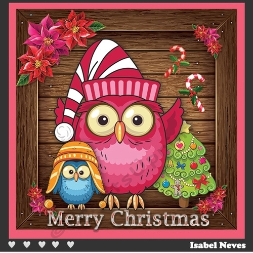 Cute Christmas Owls