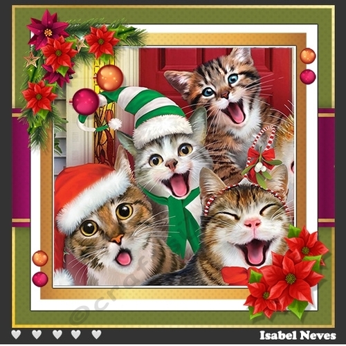Christmas Kittens