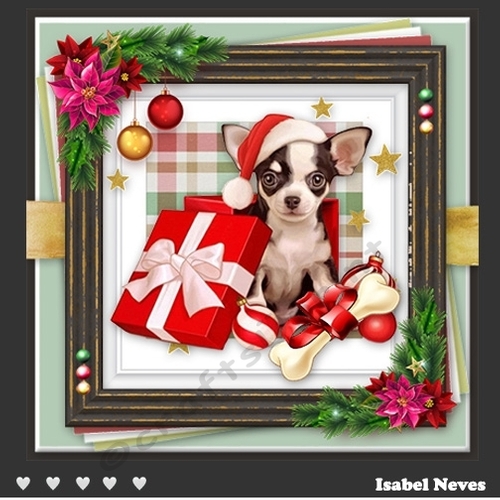 Dog Days Of Christmas 2