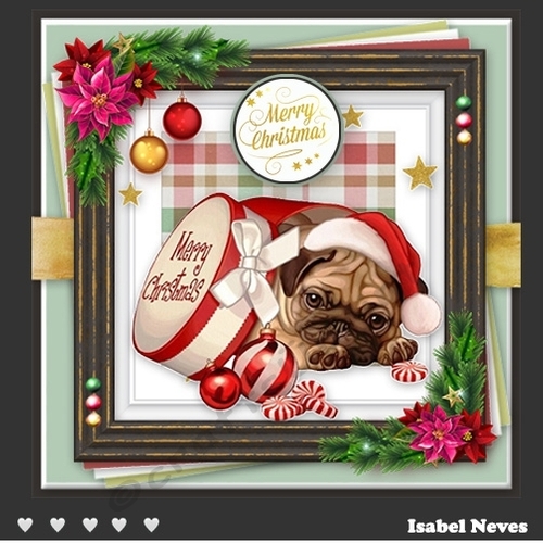 Dog Days Of Christmas 3