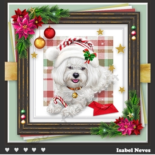Dog Days Of Christmas 4
