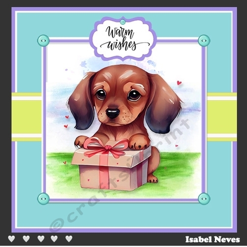 Puppy With Present