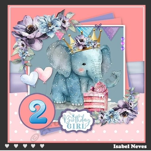 Baby Girl Birthday