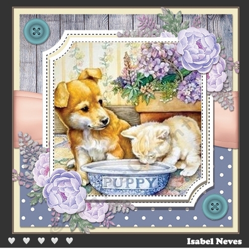 Spring Garden Cats and Dogs 2