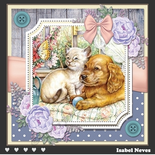 Spring Garden Cats and Dogs 4