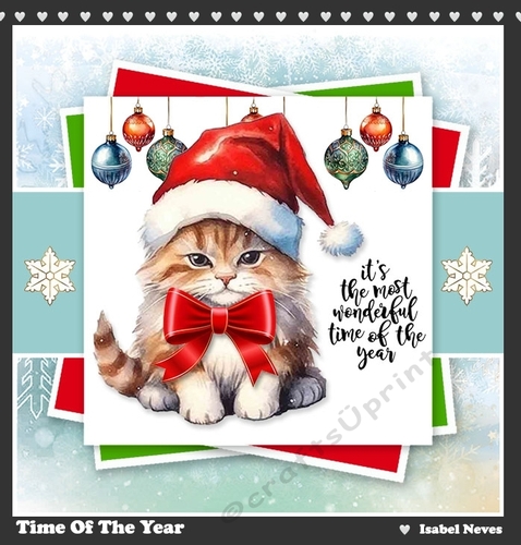 Time Of The Year