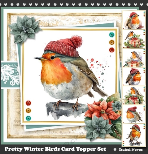 Pretty Winter Birds Card & Topper Set