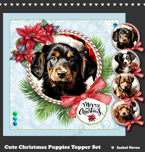 Cute Christmas Puppies
