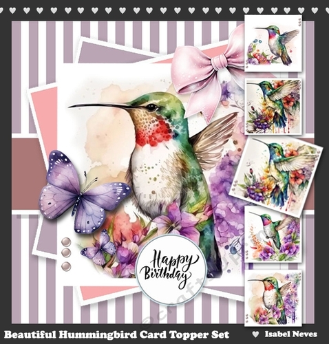 Beautiful Hummingbirds Card & Toppers Set