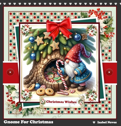 Gnome For Christmas