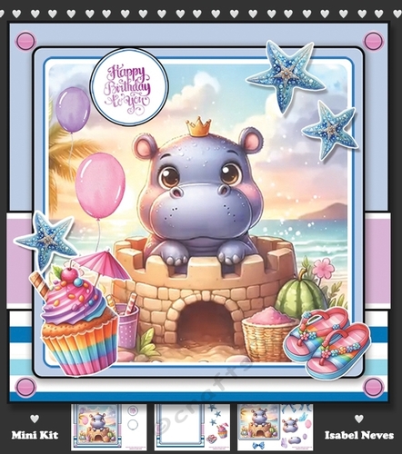Hippo Beach Birthday