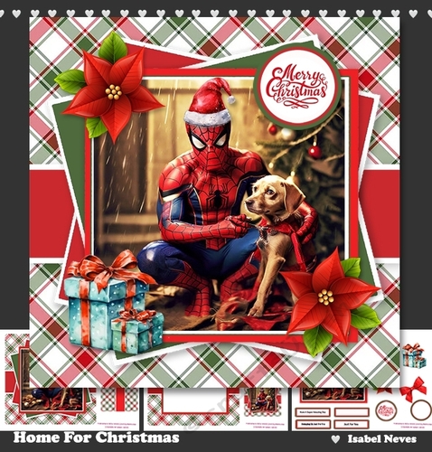 Home For Christmas