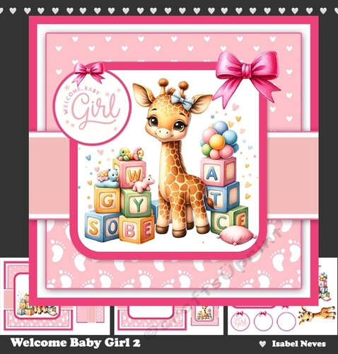Welcome Baby Girl 2