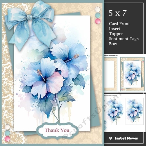 Pink And Blue Flowers For You 2