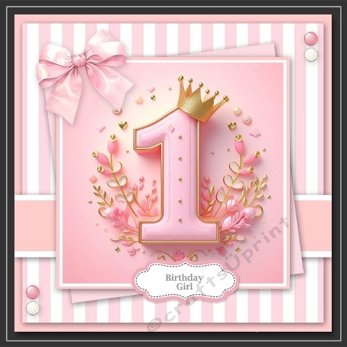 1st Birthday Girl