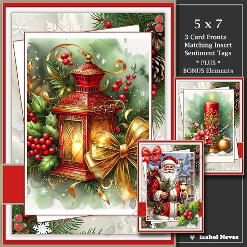  Set of 3 ~ Lovely Christmas Greetings 2