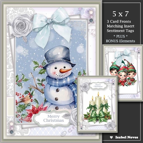  Set of 3 ~ Beautiful Christmas Greetings 3