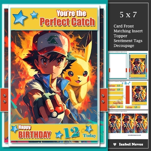 5x7 ~ Pokemon Perfect Catch 12 to 15