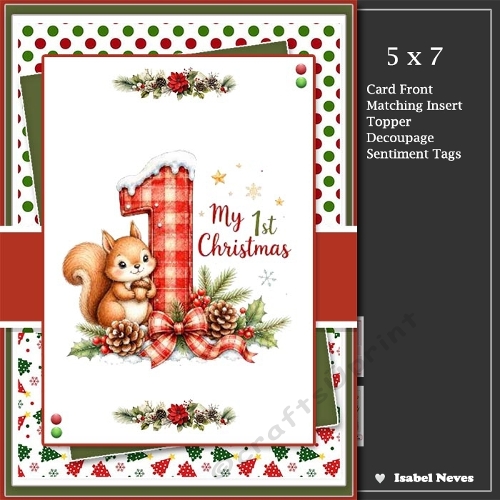 5x7 ~ My 1st Christmas
