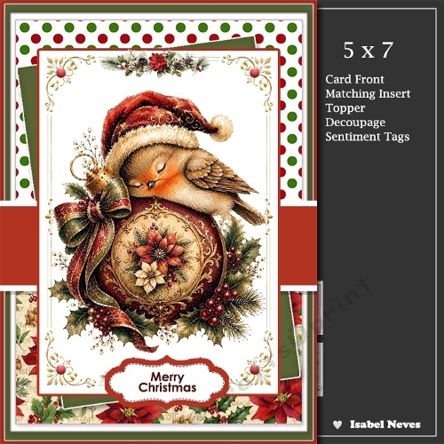 5x7 ~ Christmas Sleeping Bird