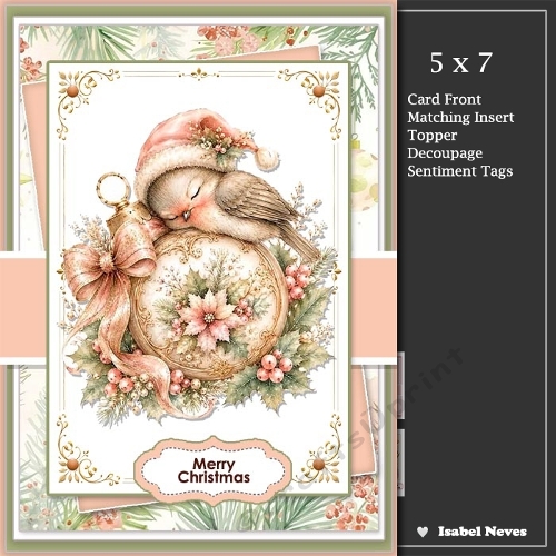 5x7 ~ Pink Christmas Sleeping Bauble Bird