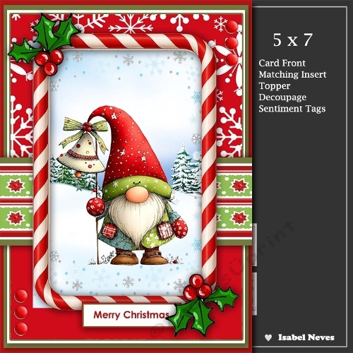 5x7 ~ Winter gnome