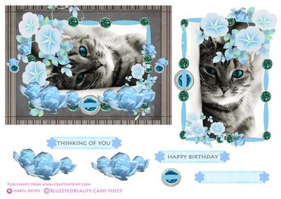 Blued Eyed Beauty Decopauge Card Front