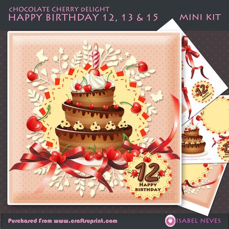 Happy Birthday Age 12, 13 & 15 Mini Kit