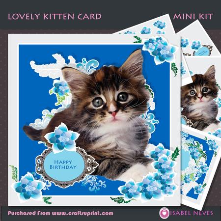 Lovely Kitten Card Decoupage Mini Kit