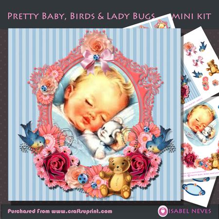 Pretty Baby, Birds, Ladybugs Mini Kit