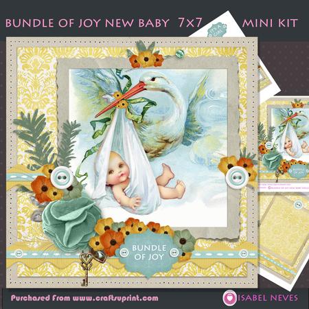 Bundle of Joy New Baby