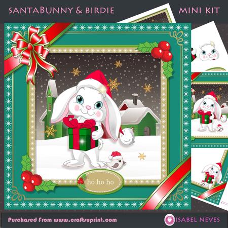 Santa Bunny & Pretty Birdi