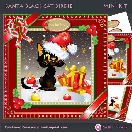 Santa Black Cat Birdie