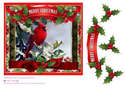 Christmas Cardinal Winter Scene